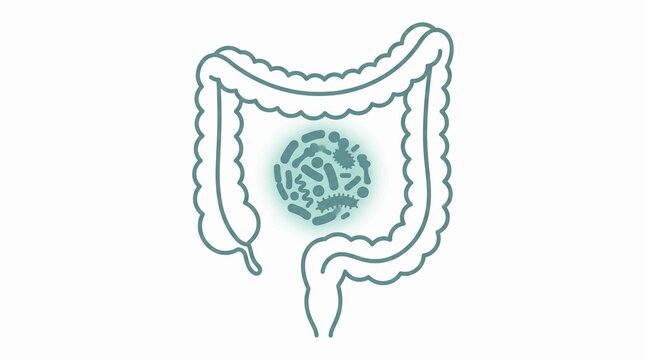 Human colon illustration with gut bacteria and intestinal flora microbiome concept on white background