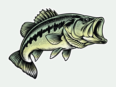 Bass Fish vector
