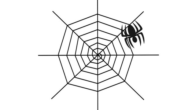 Making spider web animation black color on white background