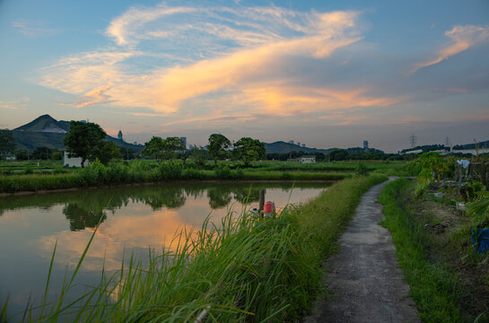 Beautiful sunset at Long Valley, Sheung Shui, Hong Kong. Vectical image