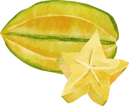 Watercolor star fruit and slice with green and yellow hues