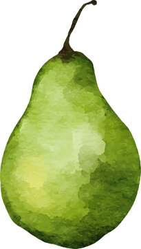 Green pear watercolor illustration