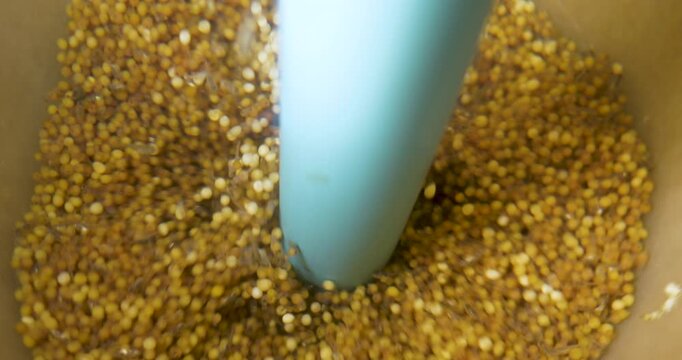 Artificial incubation of tilapia fish eggs with water circulation in aquaculture breeding facility.