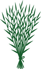 Obraz premium Tied Wild Grass Bouquet Vector with Meadow Foliage Bamboo Leaves Twigs and Green Botanical Sheaf Illustration