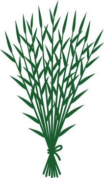 Tied Wild Grass Bouquet Vector with Meadow Foliage Bamboo Leaves Twigs and Green Botanical Sheaf Illustration
