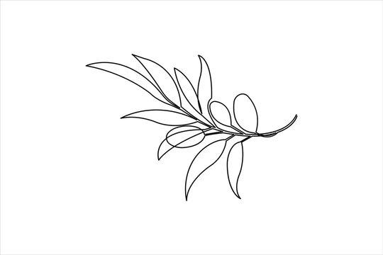 Minimalist Olive Branch Continuous One Line Drawing Vector Illustration