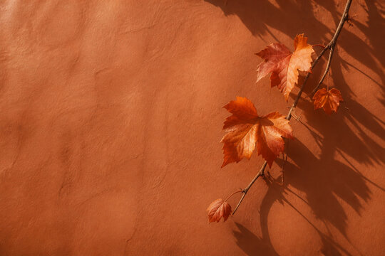 Burnt orange vine leaves and shadows on a terracotta wall