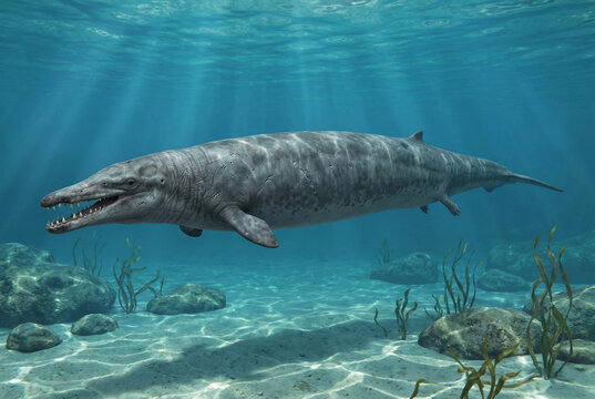 Basilosaurus in the Eocene Ocean &ndash; Photorealistic Prehistoric Whale
