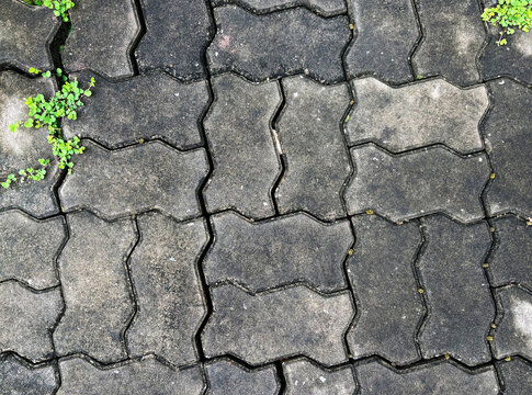 Top view of concrete interlocking paving blocks sidewalk with small weeds growing in gaps