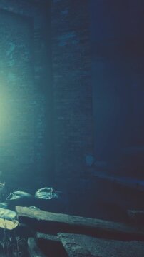 Light shines through a broken window in an old building. The walls are made of bricks and grass grows on the floor. Some bags are on the ground and dust is in the air.