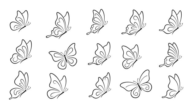 Fifteen different outline drawings of butterflies in various poses and flight patterns for botanical or insect collection art.