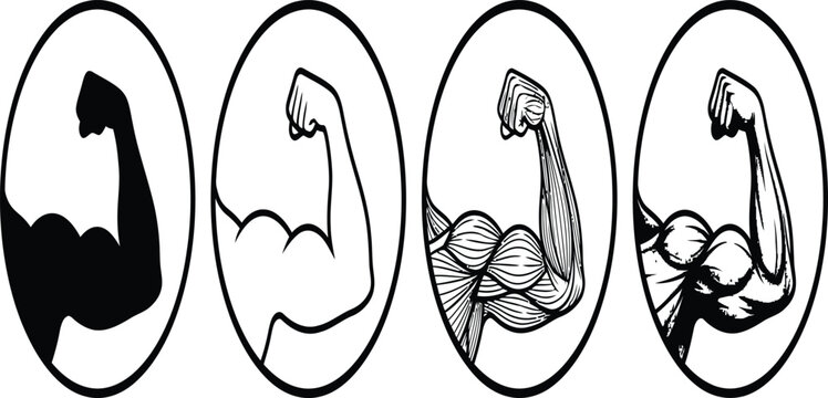 Muscular arm bicep flex icons, 4 black and white bodybuilding vector symbols, fitness gym strength logos in oval frames