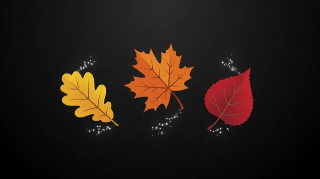Minimalist Three Autumn Leaves Falling and Rotating Line to Color Motion Graphics