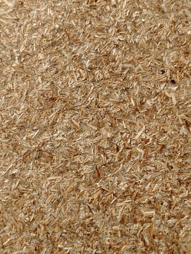 Close-up of Particle Board Surface Texture Background
A detailed macro shot of a particle board or compressed wood chipboard surface, showcasing its unique rough texture, natural brown fiber patterns
