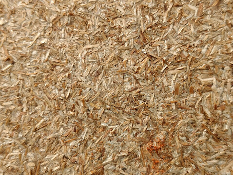 Particle Board Texture Close Up Background
High angle close up background texture of an engineered compressed wood particle board sheet or chipboard surface.