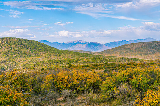 Golden autumn shrubs cover rolling hills with distant mountains near Black Canyon National Park.