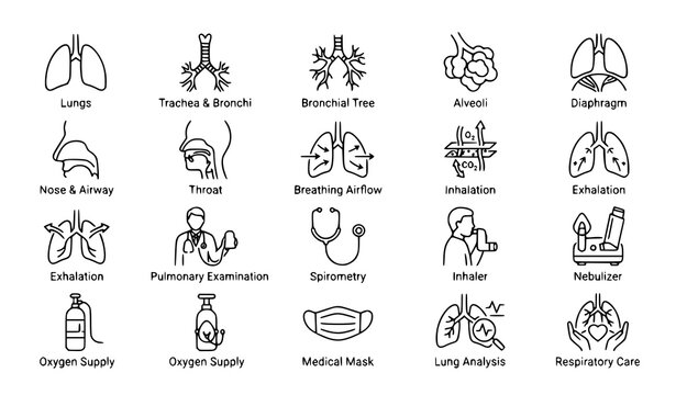 ;
Minimal respiratory lungs breathing oxygen airway and pulmonary healthcare outline vector icons