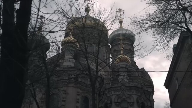 Iconic Russian Orthodox church domes seen through bare tree branches in St. Petersburg