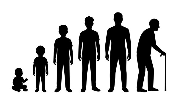Generation Life Cycle Silhouette Set with Baby, Child, Adult, and Elderly Figures for Human Aging Designs