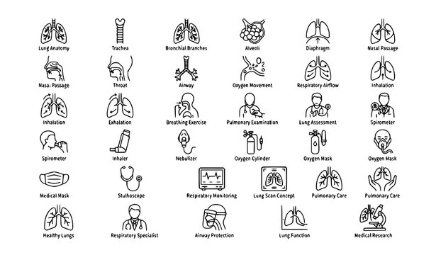 ;
Respiratory anatomy lungs pulmonary care breathing and oxygen editable outline vector icon collection