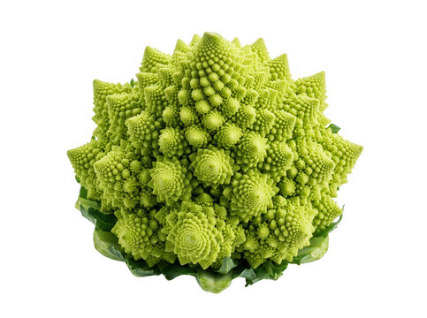 Br&oacute;coli romanesco fresco con una estructura geom&eacute;trica fractal natural y vibrante color verde aislado sobre un fondo blanco puro para uso culinario o dise&ntilde;o gr&aacute;fico.