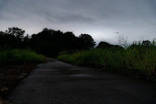 夜の田舎道