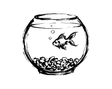 Goldfish in bowl vector illustration with hand drawn sketch style