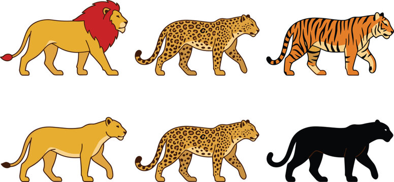 Set of wild big cats featuring lions leopards tigers and black panther walking in profile