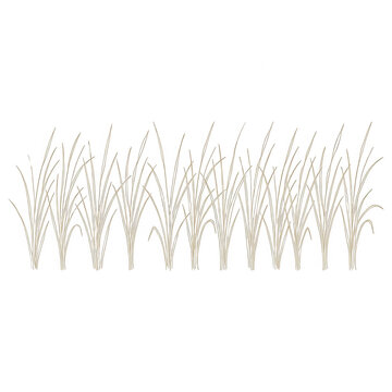 Ilustra&ccedil;&atilde;o vetorial minimalista de grama seca ou trigo em estilo de desenho de linha, isolada em fundo branco, ideal para design gr&aacute;fico, decora&ccedil;&atilde;o e projetos de natureza.