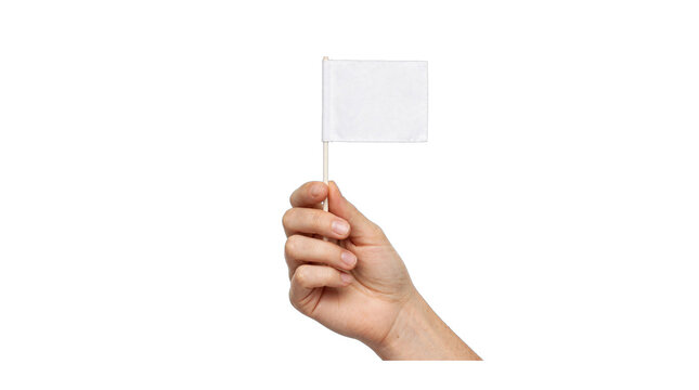 Woman Hand Holding Small White Flag Mockup Isolated Transparent