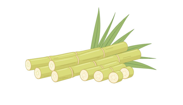 Cut segments of green sugarcane stalks arranged with long leaves in a stylized vector graphic on a white background.