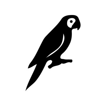 Cute Parrot Silhouette Vector Macaw Exotic Tropical Bird Clipart Illustration