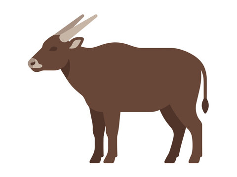 Full Body Anoa Flat Vector Icon