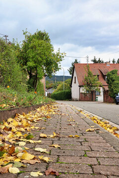 Leaves on a sidewalk in a German village
