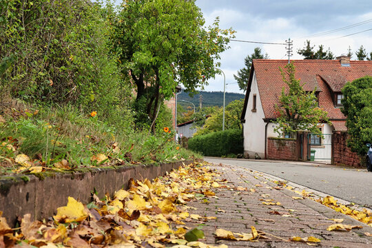 Leaves on a sidewalk in a German village