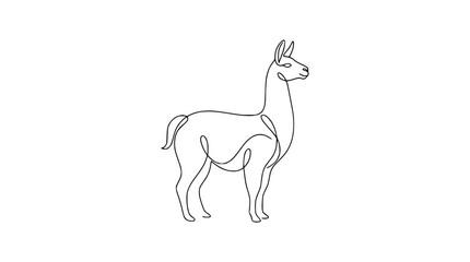 Minimalist continuous line drawing of a llama standing isolated on transparent background © rafi