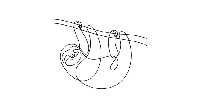 Minimalist continuous line drawing of a cute sloth hanging from a branch isolated on white background