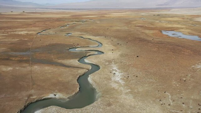 Aerial view of Taheman Wetland in Tashkurgan, Xinjiang, China, showing winding rivers and lush grasslands surrounded by mountains.