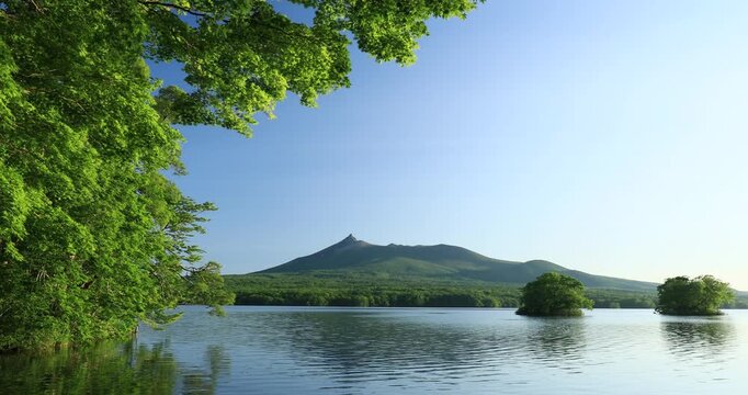 新緑の大沼公園と駒ヶ岳