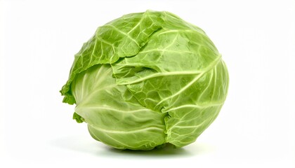 Obraz premium A cabbage isolated on white background
