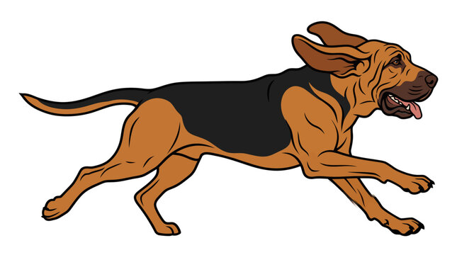 Running bloodhound dog in side profile isolated on white background for veterinary pet care branding