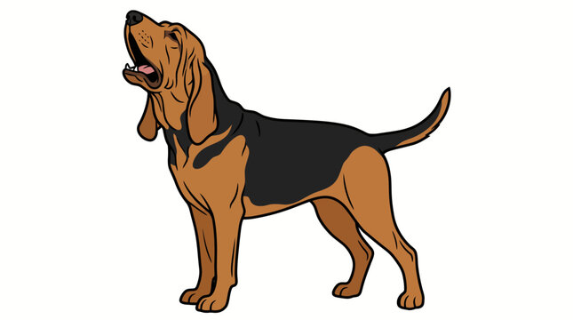 Bloodhound dog standing and howling in side profile view flat vector design isolated on white background