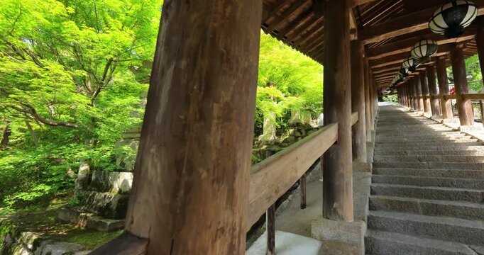 大和國長谷寺の登廊を歩く　奈良県