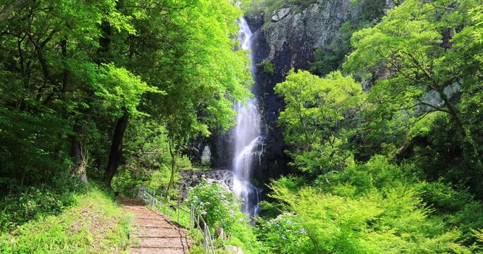 香川県三豊市にある不動の滝　
