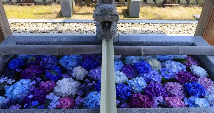 香川県にある粟井神社のあじさい浮かぶ手水舎
