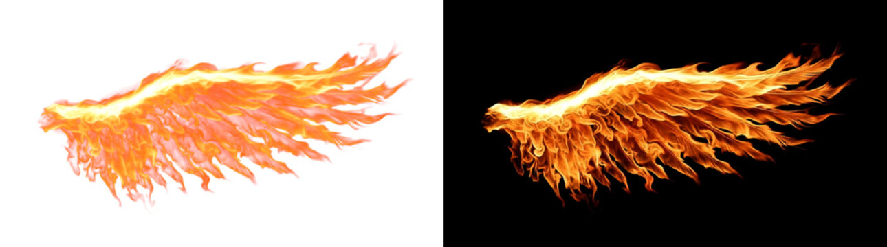 Extended Burning Single Wing with Streaming Flame Licks and Vivid Glow Fiery Design Element with Real Transparency