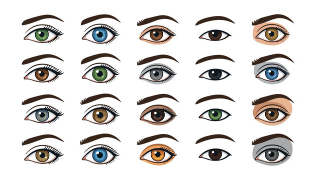 Eyes Illustration Set with Diverse Eye Colors and Eyebrow Shapes. Beauty Concept, Vector Design, Cosmetic Illustration.