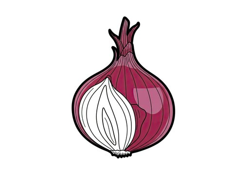Red onion and half slice illustration isolated on white background for culinary and food design.