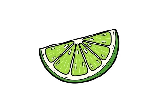 Hand drawn illustration of a green lime slice isolated on white for culinary recipe design