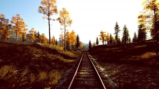 closeup tracks through autumn woodland, rails cutting through mossy ground and tall pines, golden leaves framing narrow corridor, suitable for product